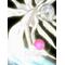 新世紀エヴァンゲリ
