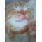 [V:452E][V:4564]楽[V:475F]園[V:4565][V:452E]