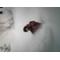 [A:F65D]InfinitySnow[A:F65D]