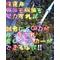 [D:F8A3]イナズマ１１[D:F8A3]