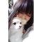 ＡＫＢ４８仲間集まれ