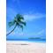 [D:F9E9]Coconuts・Island[D:F9EA]